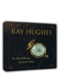 So Much Beauty So Little Time  (MP3 Music Download) by Ray Hughes